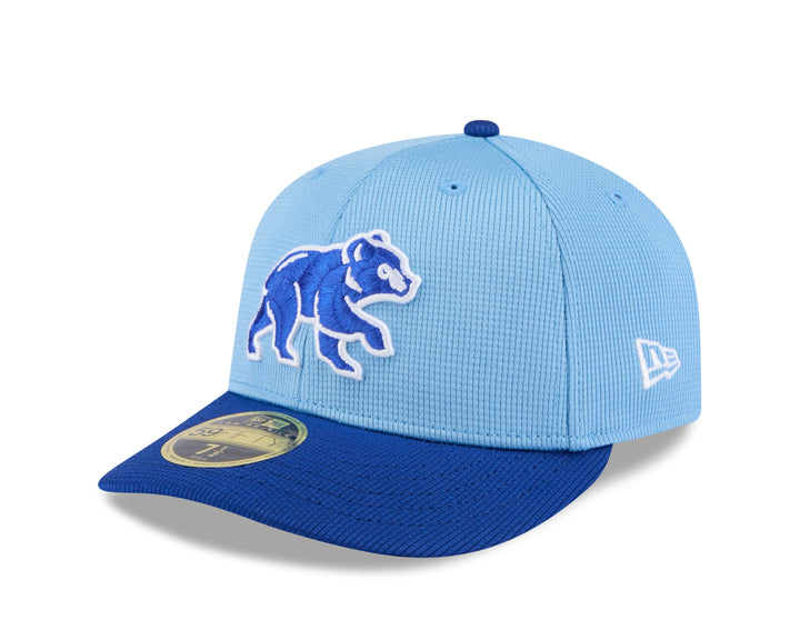 Chicago Cubs Spring Training Walking Bear Low Profile 59FIFTY Cap by New Era Caps NEW ERA CAP COMPANY INC