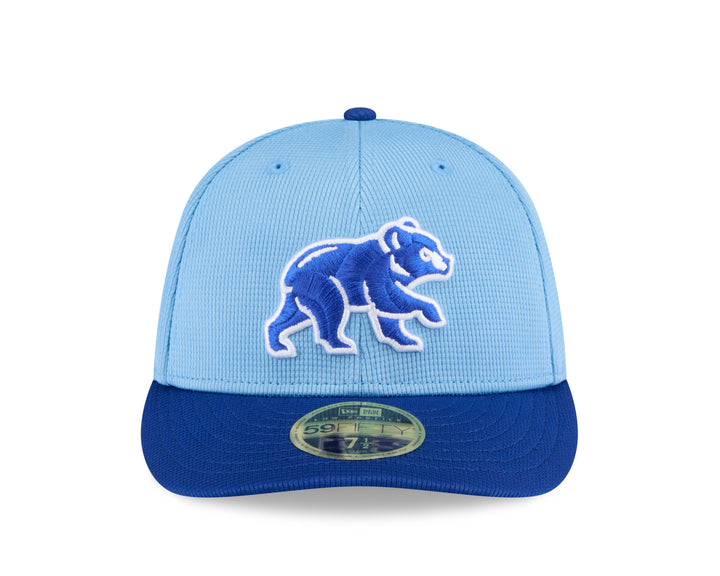 Chicago Cubs Spring Training Walking Bear Low Profile 59FIFTY Cap by New Era Caps NEW ERA CAP COMPANY INC