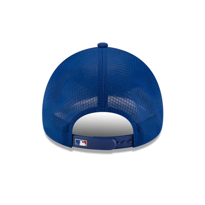 Chicago Cubs 2026 BP 9FORTY Adjustable Cap by New Era Caps New Era