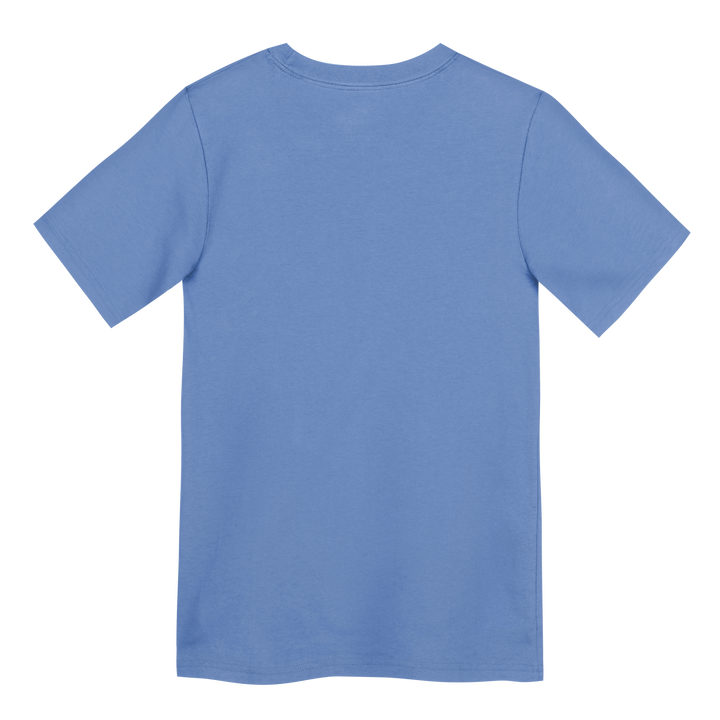 Chicago Cubs Blues Alternate Rock Bear Youth Tee by Nike T-Shirt OUTERSTUFF LLC